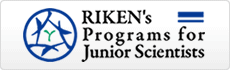 RIKEN's Programs for Junior Scientists