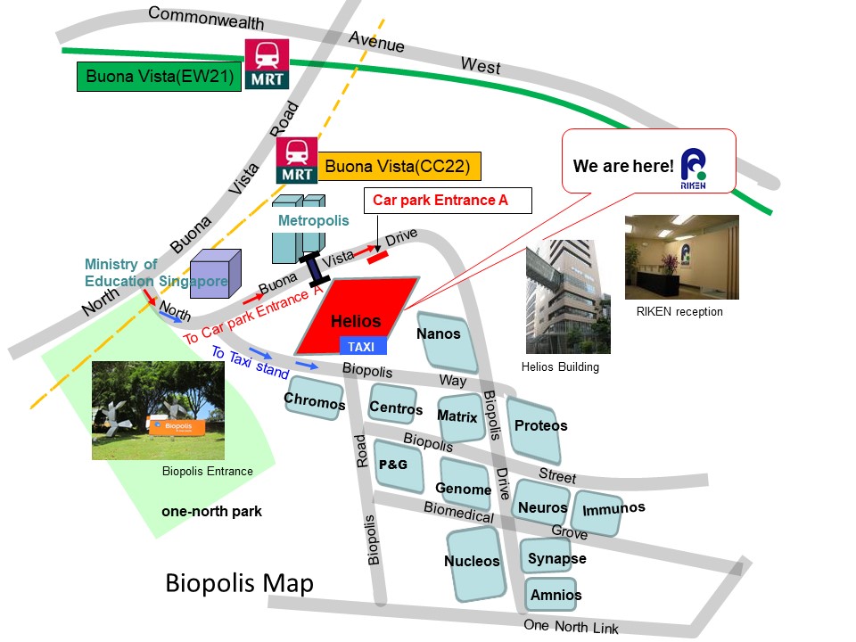 Biopolis map